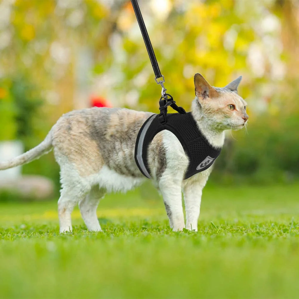 Cat Harness and Leash Set for Walking Adjustable Vest with Reflective Strap for Pet Kitten Puppy